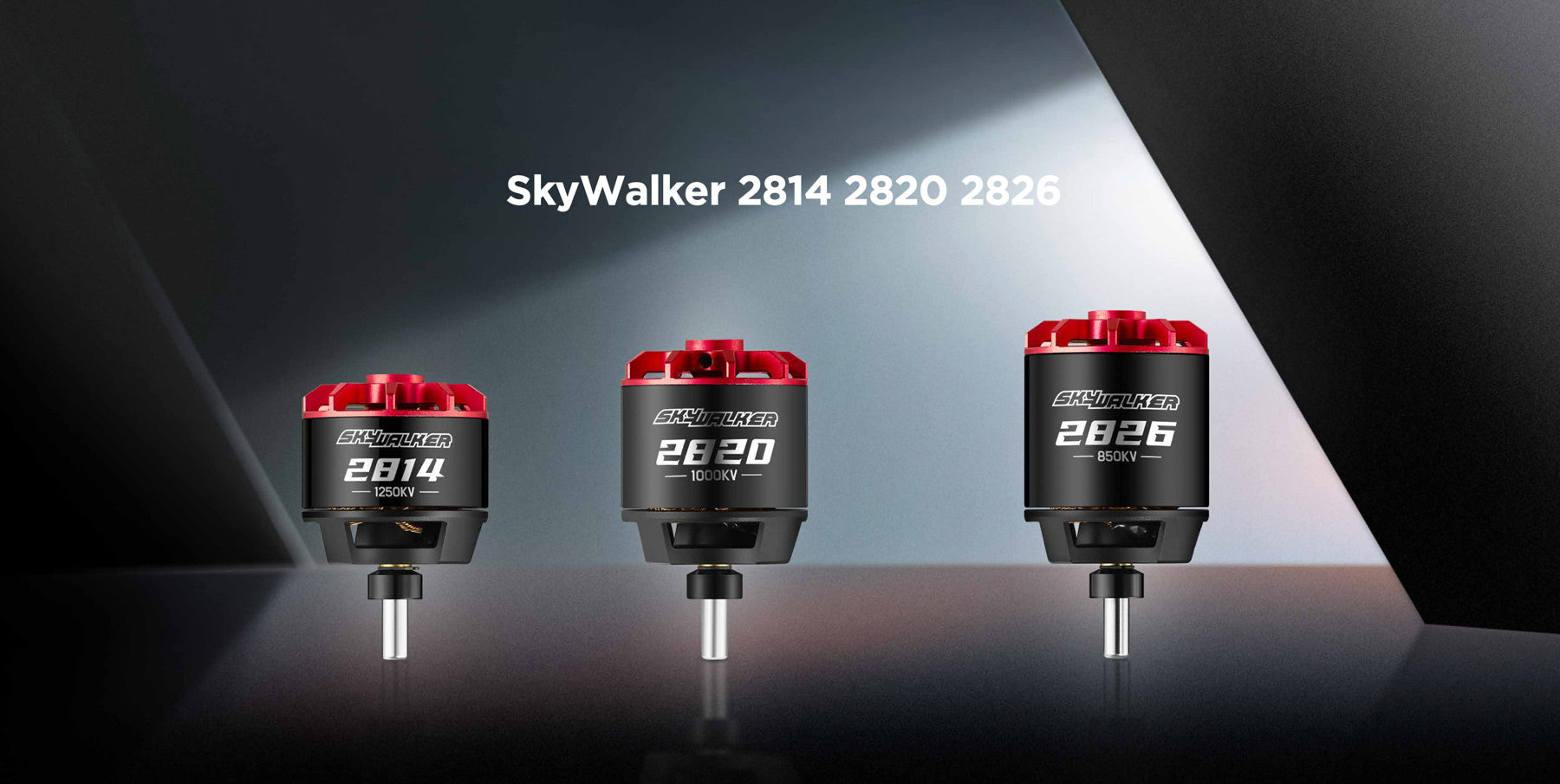 Skywalker 2800 series motors